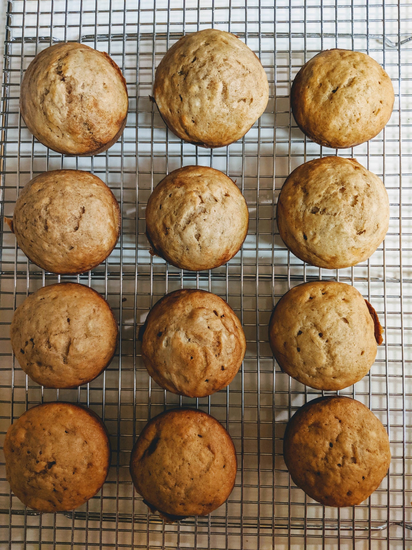 Banana Bread Muffins
